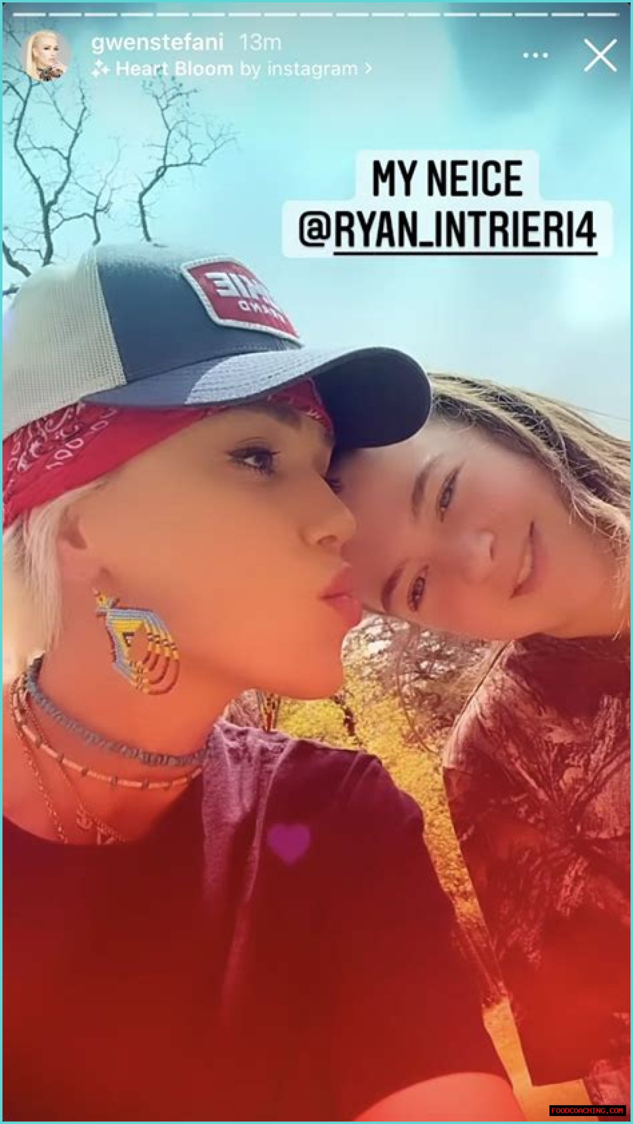 Discovering Blake Shelton's Niece: A Deep Dive Into Her Life And Influence