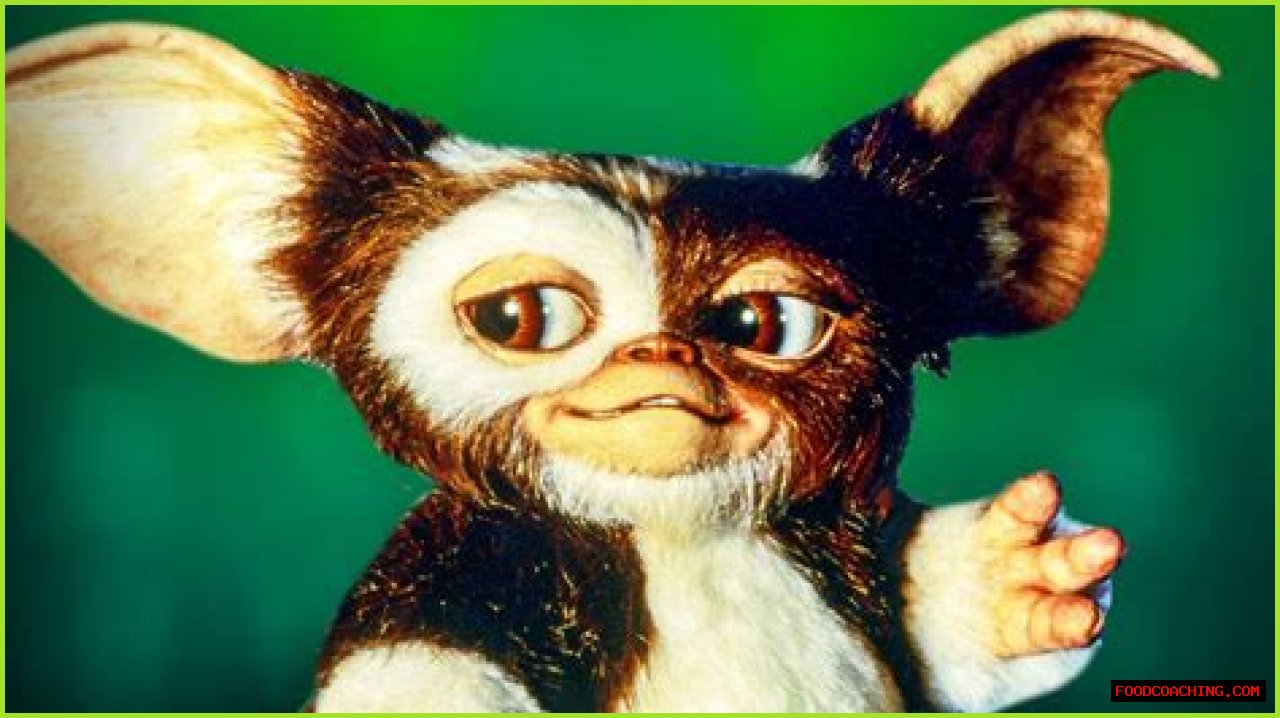 Exploring The Lives Of The Gremlins Cast Now