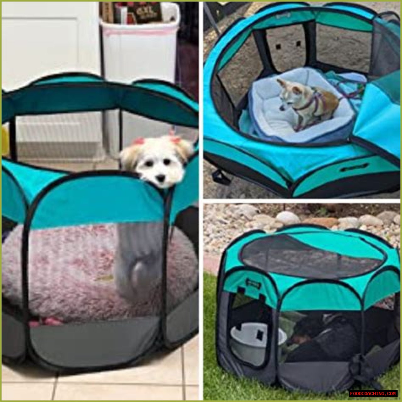 Finding The Best Portable Puppy Playpen For Your Furry Friend