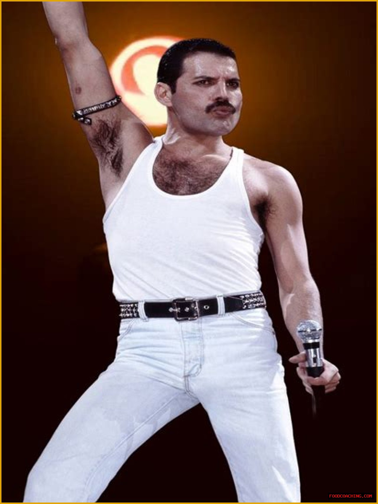 How Tall Was Freddie Mercury? Unveiling The Iconic Rockstar's Height