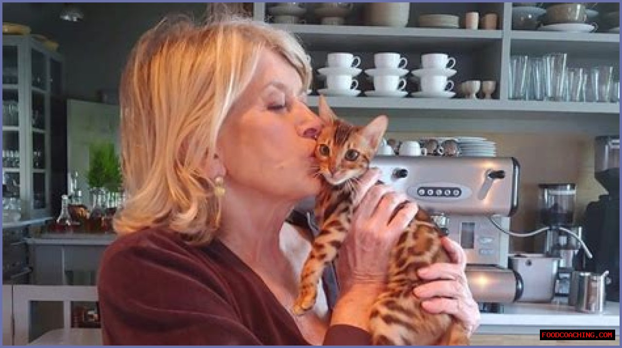 Martha Stewart's Feline Friends: A Deep Dive Into Her Affection For Cats