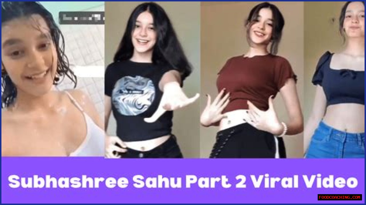 Subhashree MMS Video: The Truth Behind The Controversy