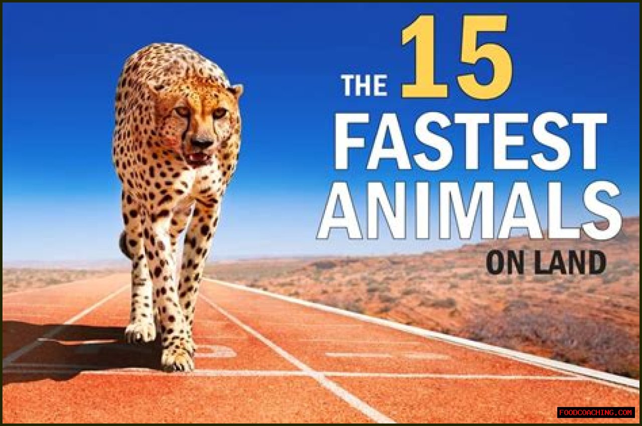 Which Is The Fastest Animal In The World?